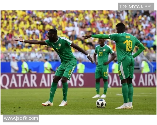 全球足球国际赛最新排名分析与各国球队表现评估